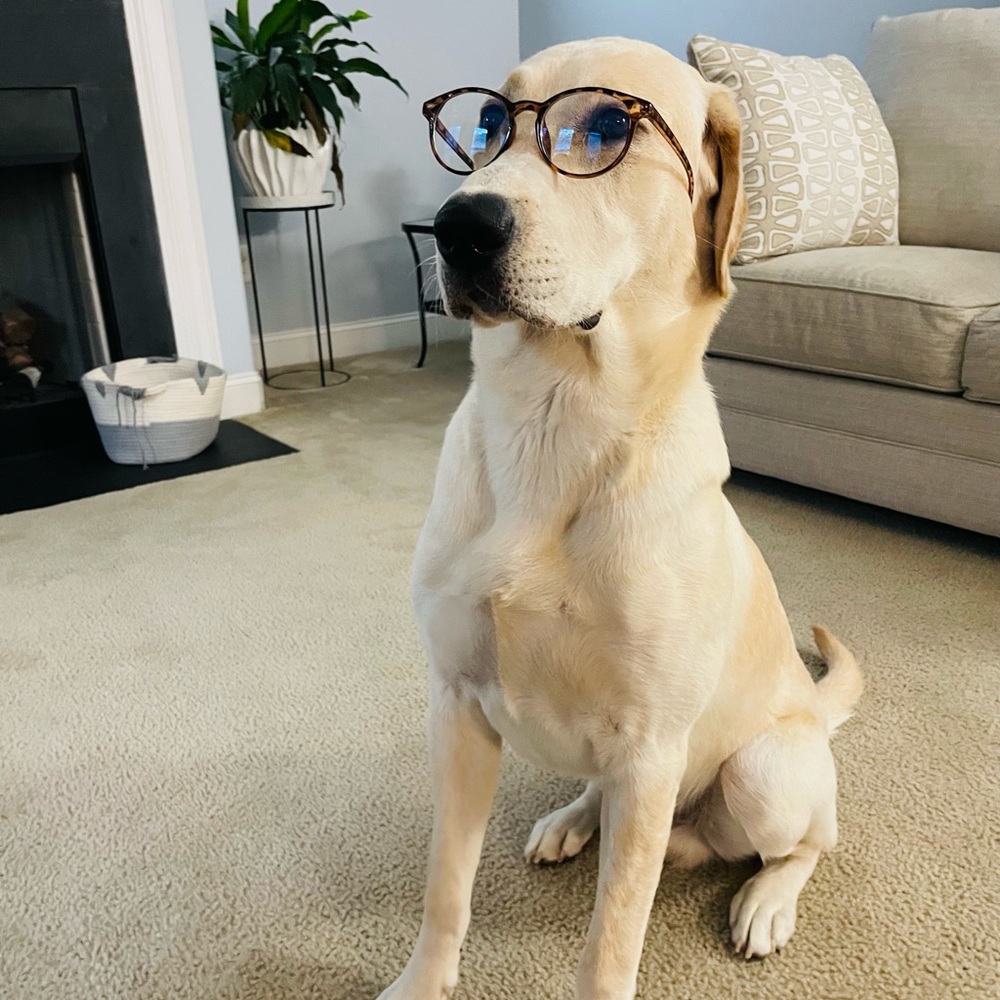 Meet your Posher, Mari